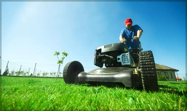 
Labeling Zero-Turn Lawn Mowers With Mold In Graphics, labels for plastics
